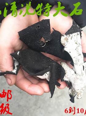 包邮安徽九华山特大免洗野生石耳岩耳石姑6-10公分新货去蒂100克