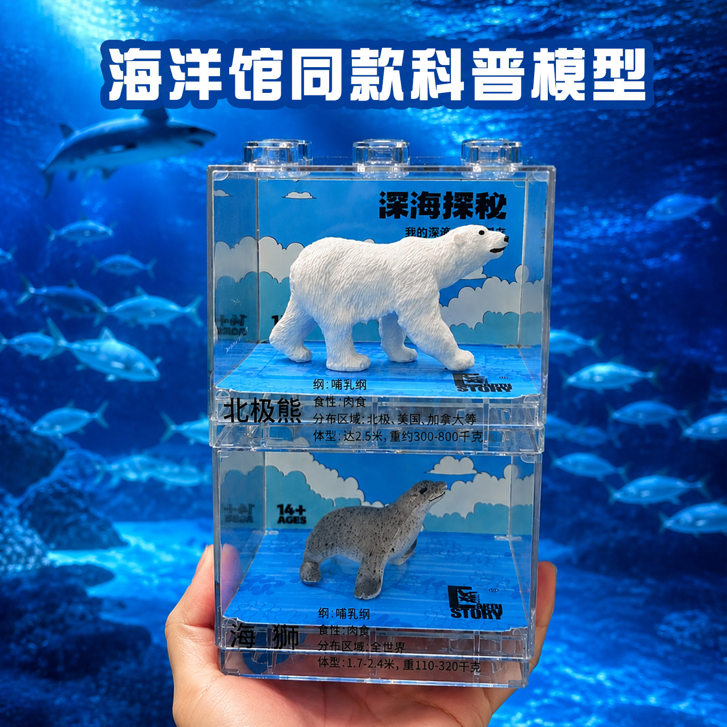 带上动物模型打卡海底世界