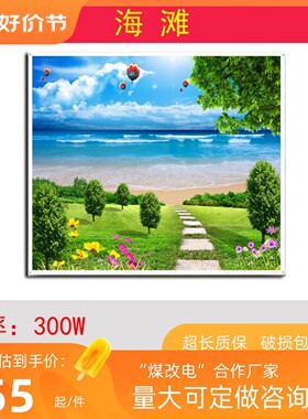 300W石墨烯碳晶墙暖防冻电热板壁