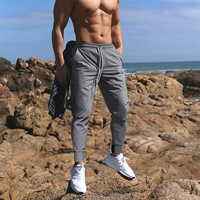 Серый (нога)