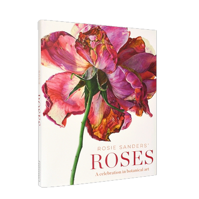 【现货】罗西·桑德斯的玫瑰Rosie Sanders'Roses 植物学艺术插画画册 水彩植物花卉插画图案集 美术临摹正版英文原装进口插画集