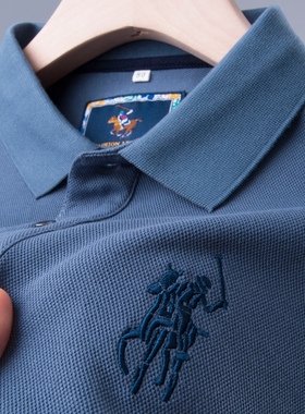 男士polo衫纯棉衬衫秋衣爸爸春秋装poli长袖p0loT恤plol上衣