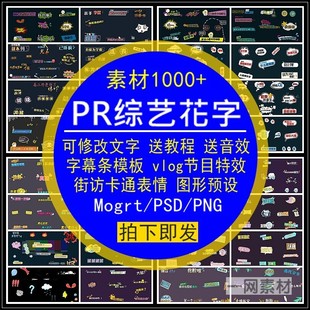 PR综艺花字可改文字素材字幕条模板动态画图形预设送教程音效合集