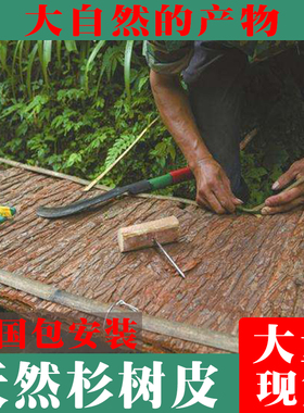 天然杉树皮手工工艺包边杉树皮未发酵药用杉树皮超大块杉树皮