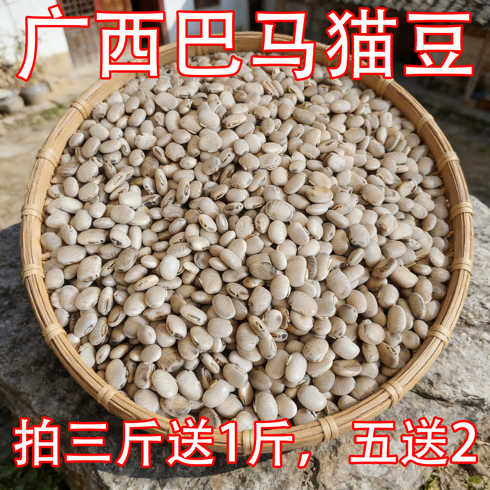 广西巴马新野生猫豆虎爪豆猫爪豆龙爪豆狗爪豆藜豆山区农家自种