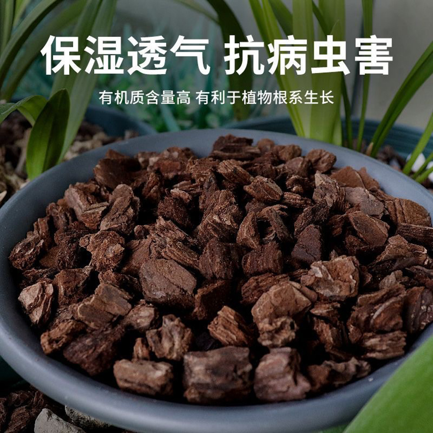 颗粒真发酵腐熟松树皮兰花石斛蝴蝶兰专用透气植料铺面覆盖物松麟