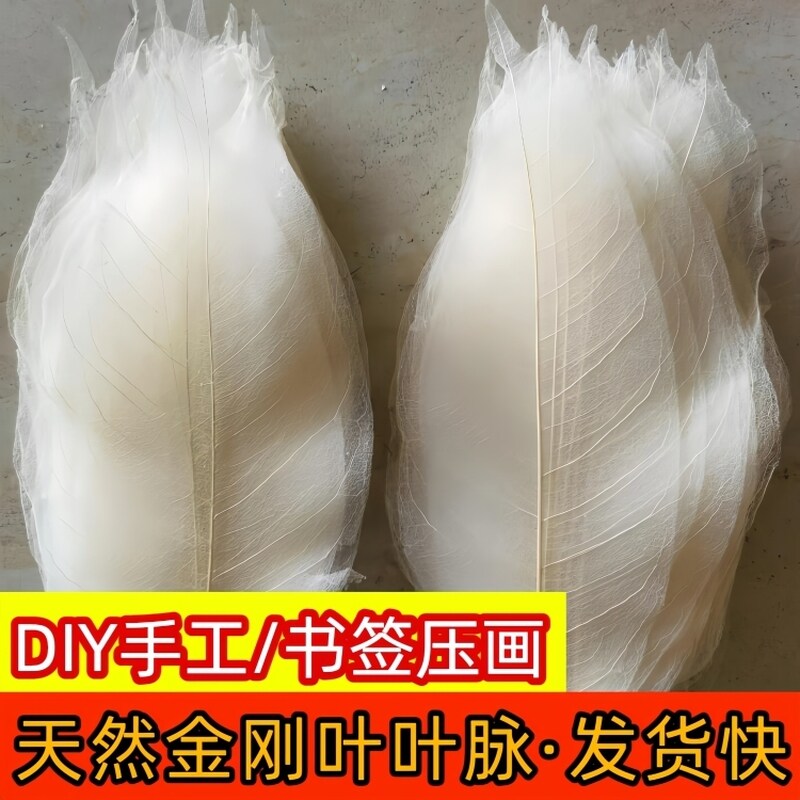 金刚叶脉天然材料贴画创意书签叶子标本手工配件相框装饰七夕情人