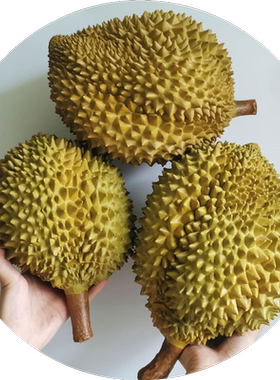 仿真榴莲模型拍照装饰专用道具