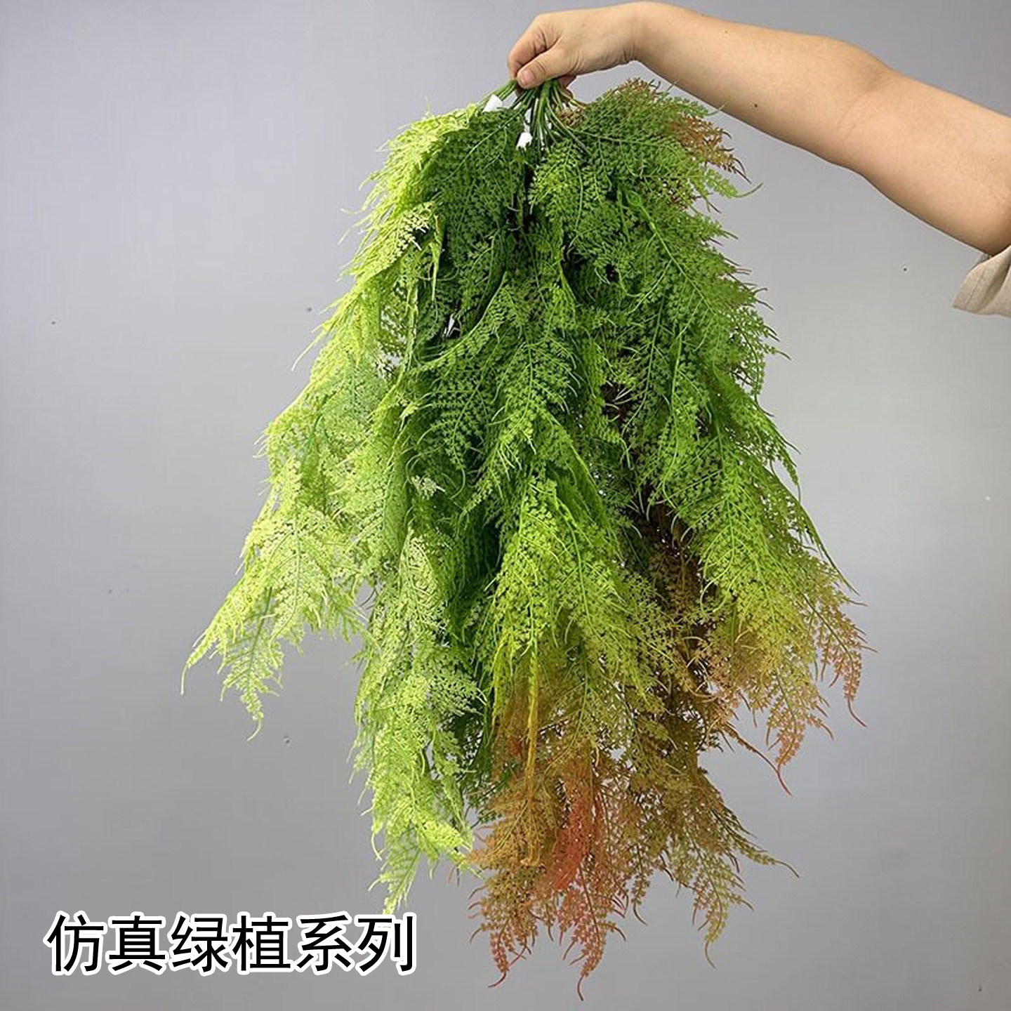 壁挂仿真绿植含洞洞彩芋海棠装饰