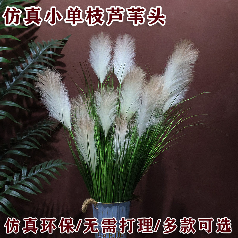 网红大芦苇草落地家居客厅装饰芦苇草仿真花狗尾草仿生绿植造景
