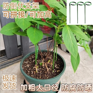 新款花架子室内家用固定架室外花卉造型支撑杆蝴蝶兰花三角梅支架