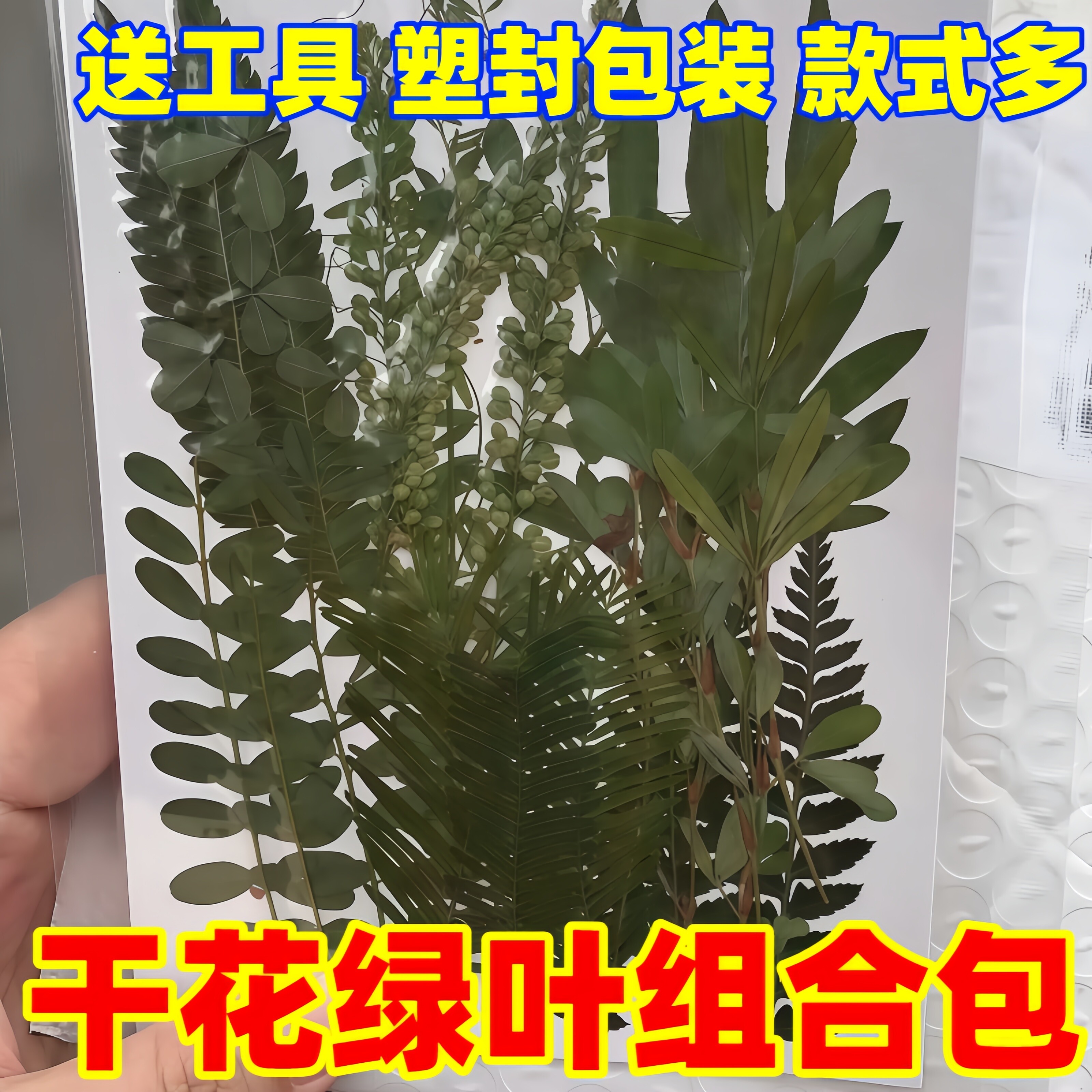 真干花压花绿叶组合滴胶香薰手工手账贴花diy天然植物标本花瓣妆