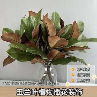 仿真玉兰叶子绿植摆件白碗花苞叶家居装饰假花仿真花叶子玉兰枝