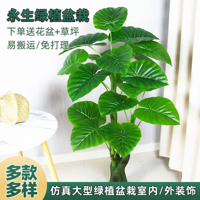 仿真绿植滴水观音绿色植物假花室内绿色塑料发财树客厅摆件落地花