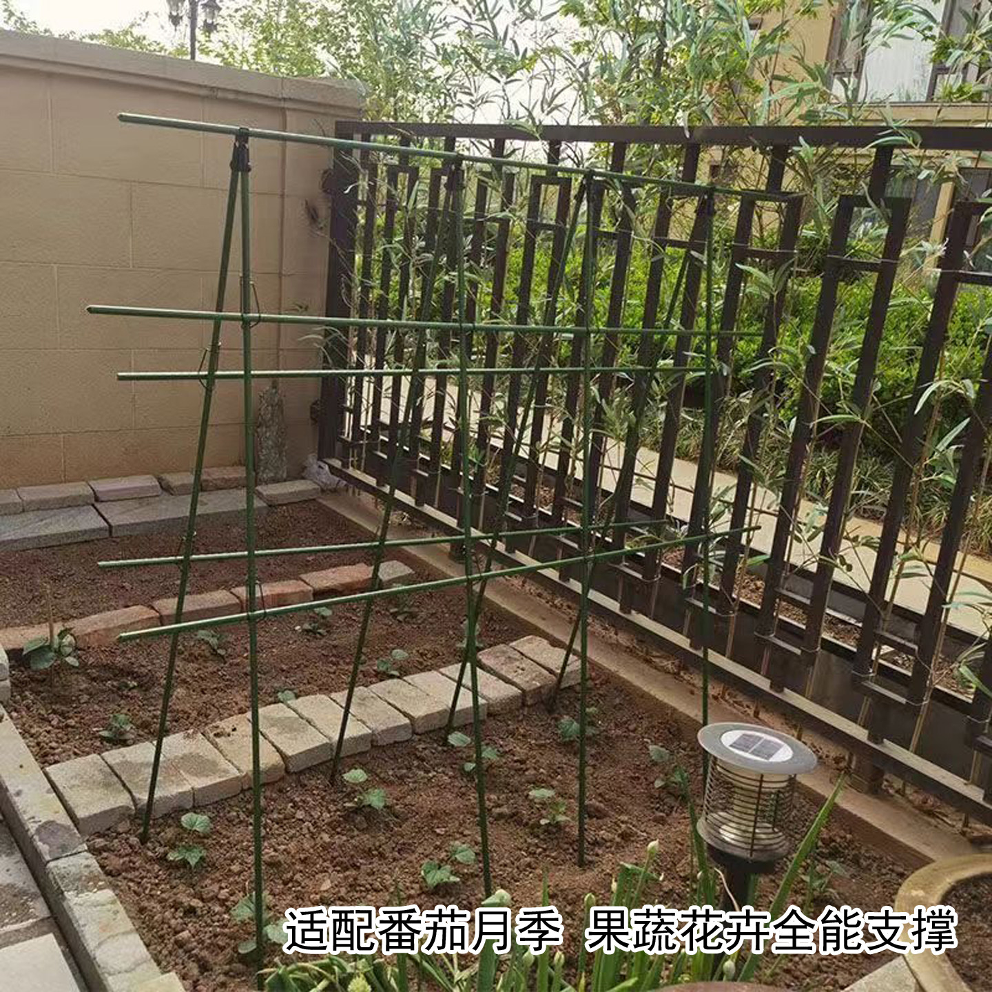 家用包塑加厚钢管爬藤搭棚架