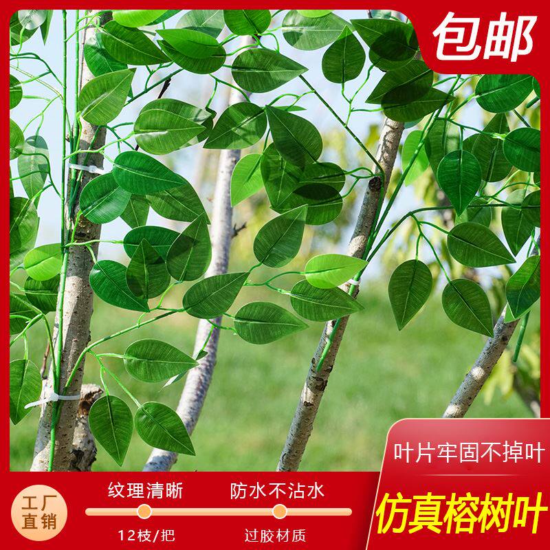 仿真榕树叶过胶绿色植物假榕树叶子假树枝装饰造景仿真柳叶柳枝条