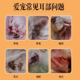Японское мыпонское домашнее уши чистят пальцы, собаки и кошачьи уши, чтобы удалить ушные клещи, антипраритовые, антибактериальные и грибковые продукты