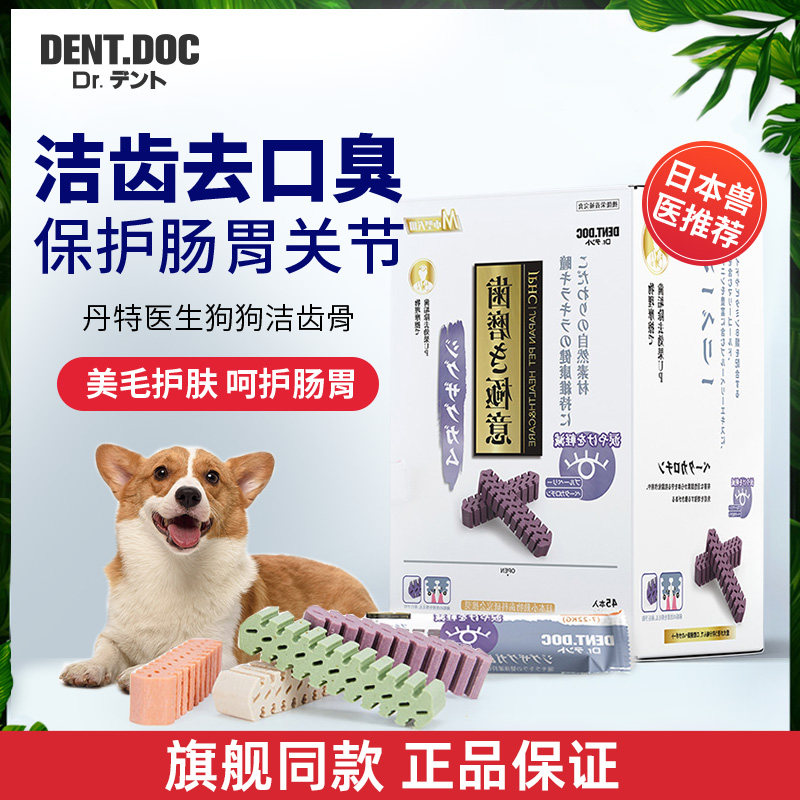 日本丹特医生狗狗磨牙牙齿宠物犬