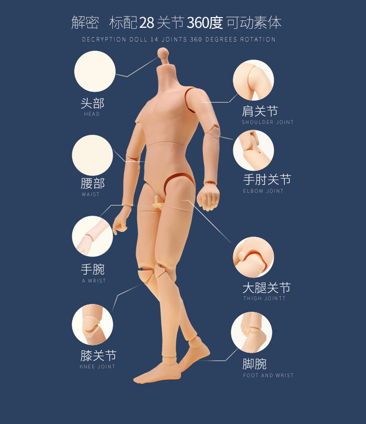 6分素体bjd关节普肌裸娃图片