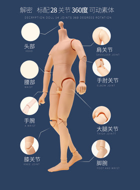 6分素体bjd关节普肌裸娃