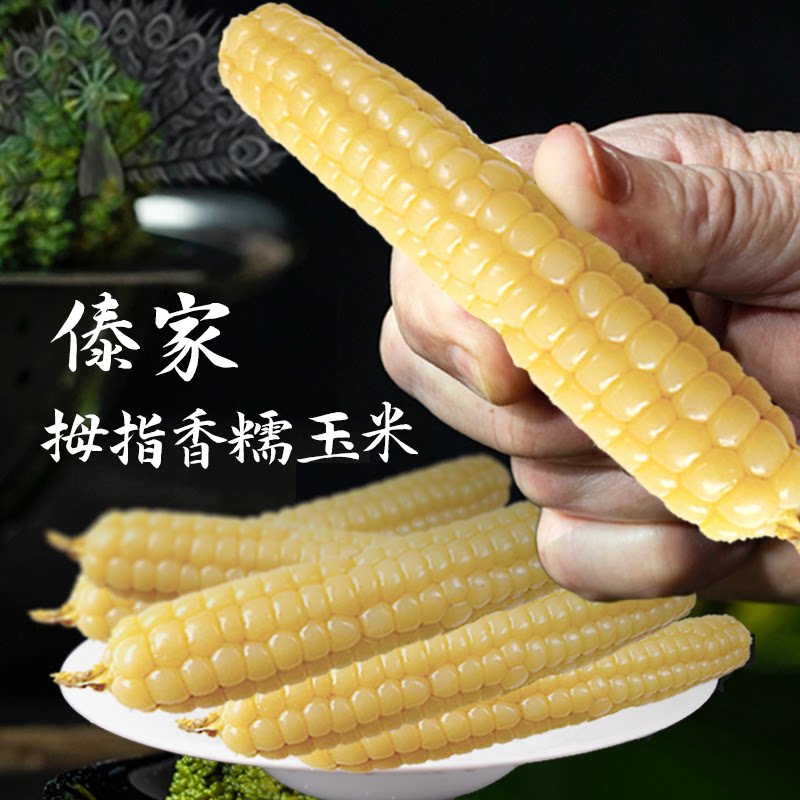 西双版纳傣家拇指糯玉米 糯叽叽甜丝丝 1kg2kg礼盒