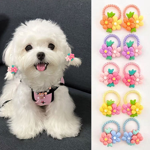 宠物专用扎头发小皮筋狗狗樱花头饰头花扎辫子发绳2026年新款发圈
