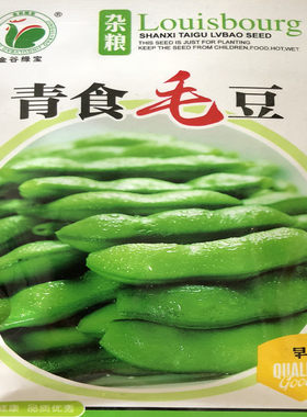 青食毛豆种子早熟毛豆 五谷杂粮菜用大豆高产黄豆种子高产种子