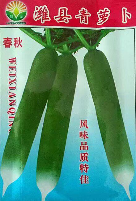 潍坊秋季山东日本天津寿光青萝卜