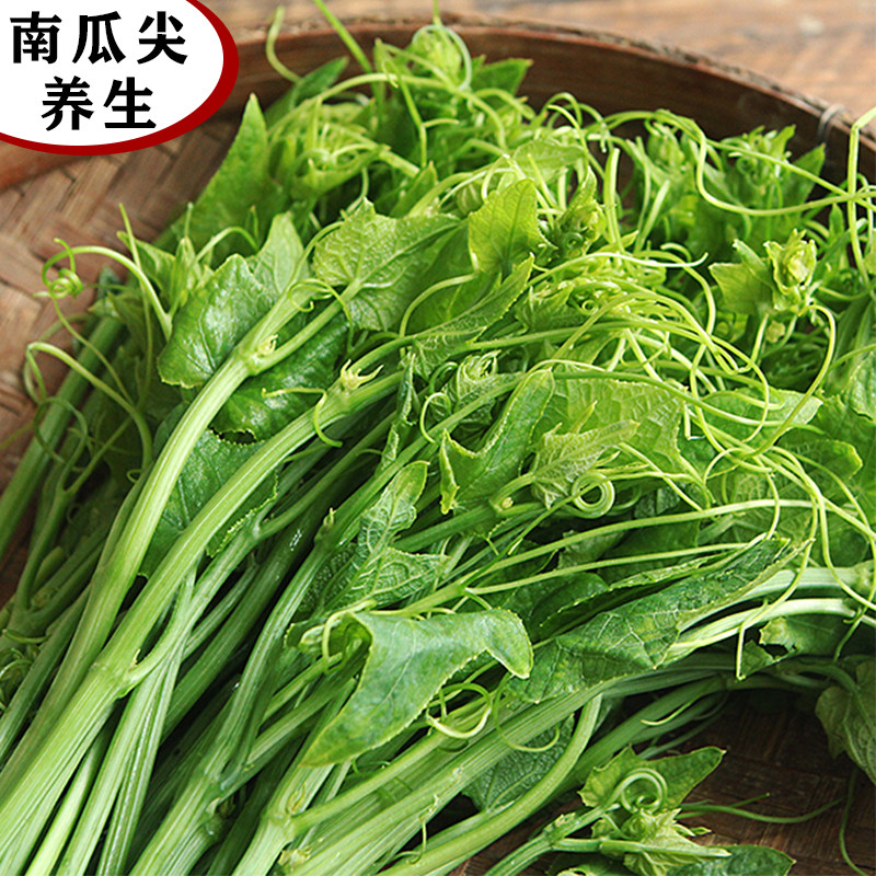 养生南瓜苗种子专吃茎叶南瓜种子特色蔬菜籽春季夏秋四季阳台盆栽,鲜花速递/花卉仿真/绿植园艺,家庭园艺种子,淘宝优惠券,粉丝福利购,淘宝优惠卷