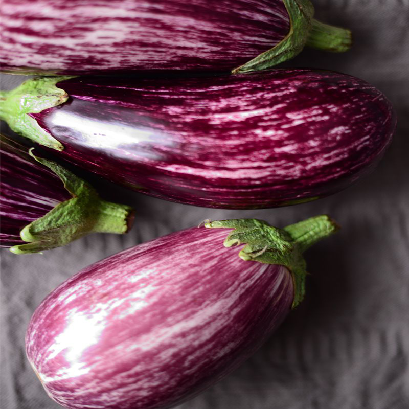 紫霞花茄子种子紫白条纹彩色茄子种赏食用春季夏季秋季蔬菜种籽