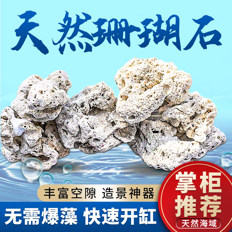 鱼缸造景造景材料天然珊瑚免爆藻