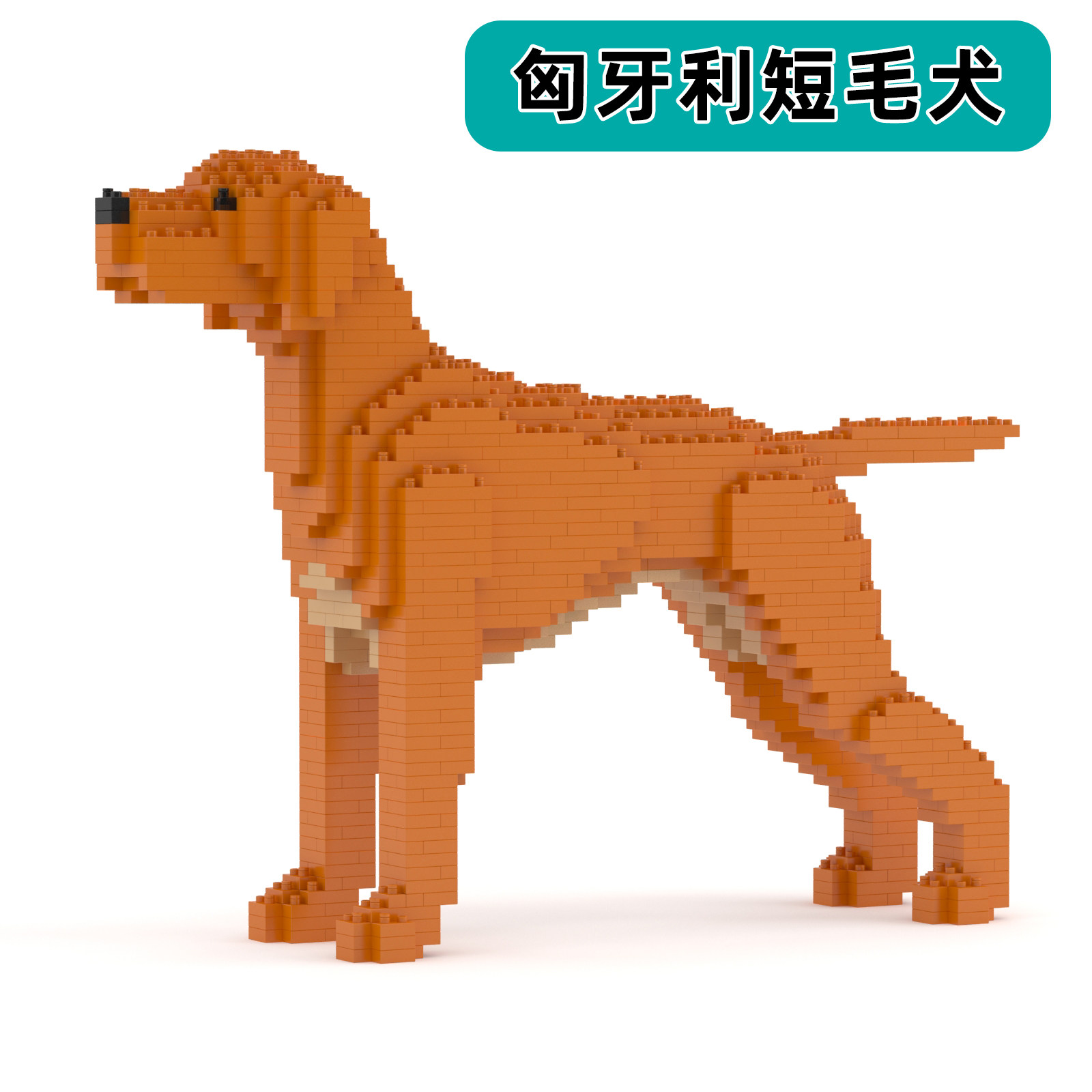 JEKCA积卡维兹拉犬积木拼装益智玩具潮玩宠物积木模型手办摆件