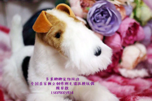 【多米娜娜宠物周边】刚毛猎狐梗玩偶 手办 公仔