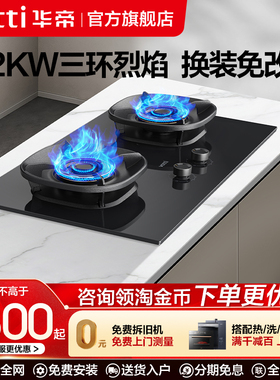 华帝燃气灶5.2KW大火力家用联动煤气灶双灶天然气煤气灶炉i10309L