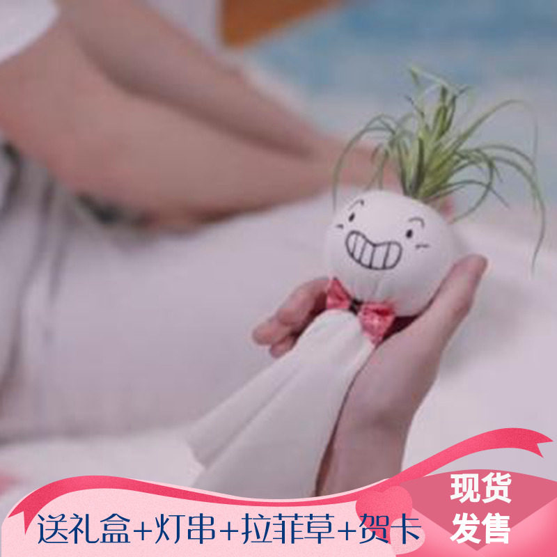 爱情公寓5凤梨娃娃晴天娃娃草头娃娃黑凤梨情人节礼物情侣女生日