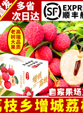 正宗广东增城荔枝现摘现发桂味甜