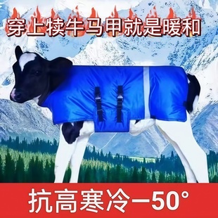 加厚犊牛马甲防水防风保暖防寒小牛犊马甲初生牛棉衣加绒犊牛衣服