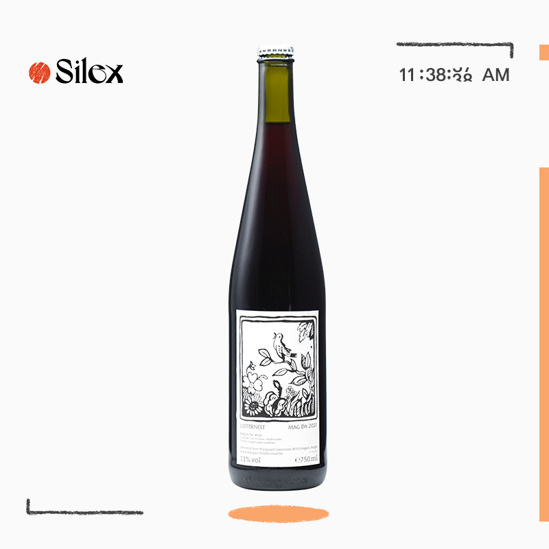 比利时画眉之巢MagDa迈鸽达干红