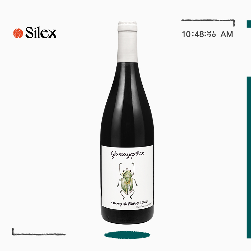 爆汁优质大樱桃佳美干红自然酒