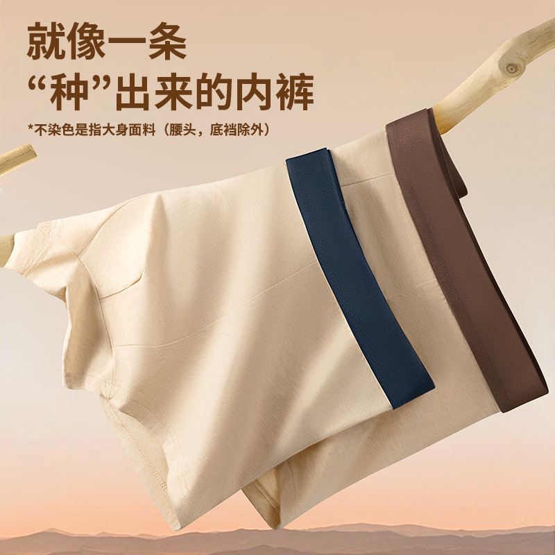 新品男士内裤纯棉a类棉高弹舒适