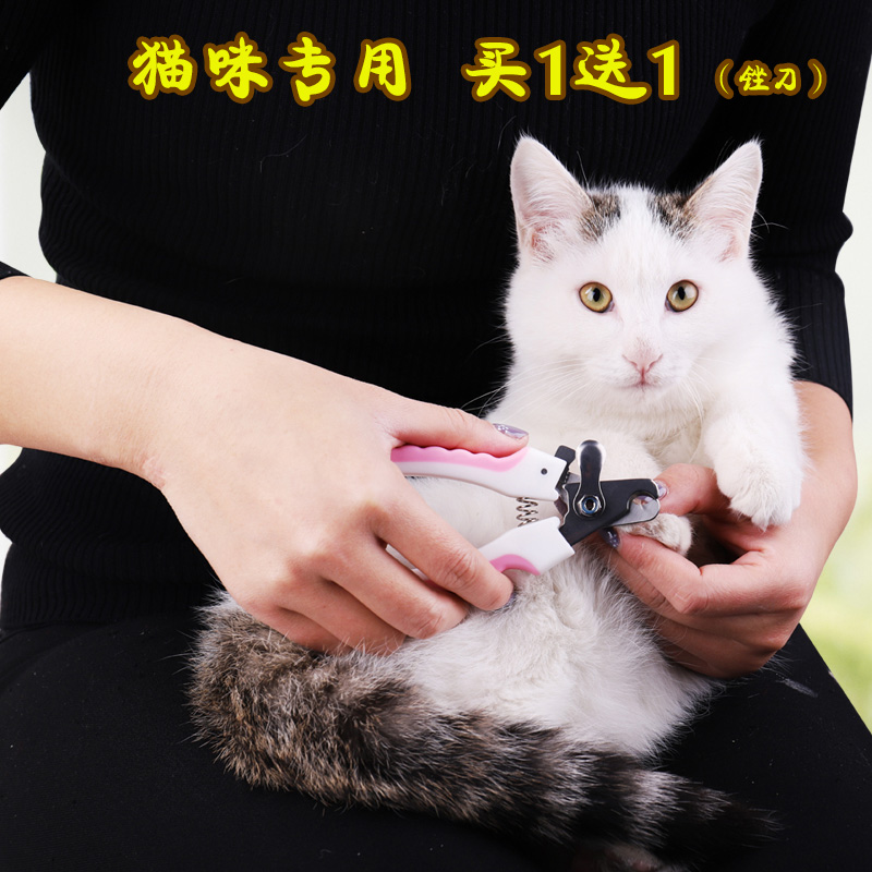 èָ¼×¼ôèßäÖ¸¼×¼ô³èÎï¹·¹·Ö¸¼×¼ôǯĥ¼×Æ÷èָ¼×µ¶´óСèßäÓÃÆ·