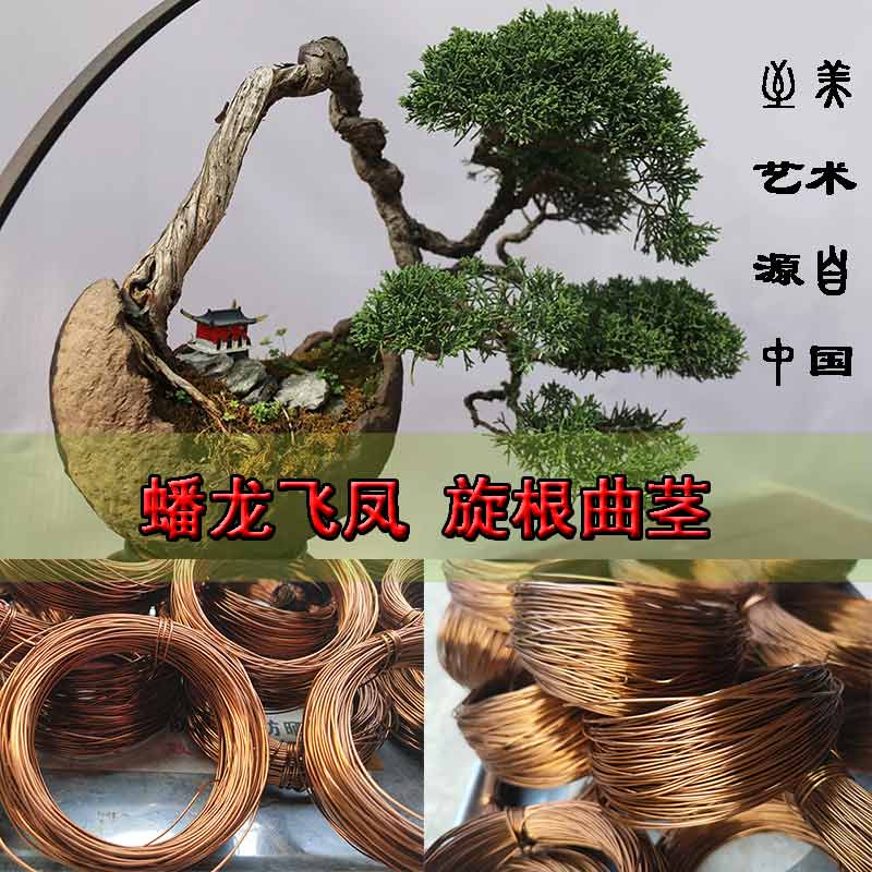 专业花艺造型手工苗木盆景