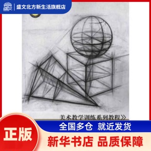 美术教学训练系列教程:几何形体(结构素描) 范文南主编 辽宁美术出版社 新华书店正版