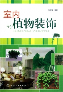 室内植物装 饰