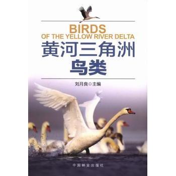 黄河三角洲鸟类 刘月良主编 9787503867408 新华书店正版