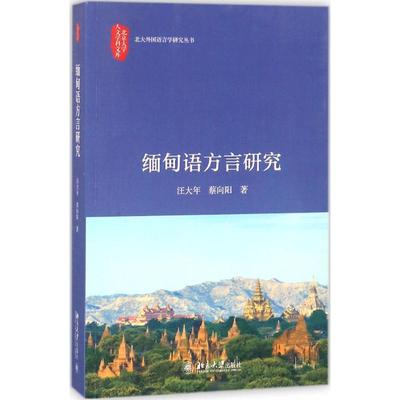 缅甸语方言研究 汪大年 北京大学出版社 新华书店正版