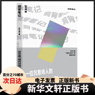 【新华书店】 洞背笔记(300条现代汉诗的深知灼见)(精) 孙文波 著 长江文艺出版社