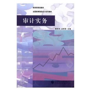 姜玲玲 社 经济 9787509578537 审计实务 中国财政经济出版 书籍正版