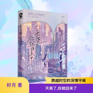 天亮了 你就回来了青春小说