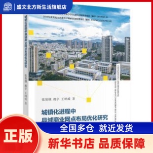 城镇化进程中县域商业网点布局优化研究 张俊娥,魏宇,王纳威著 中国财政经济出版社 新华书店正版
